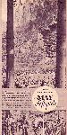 Karl May Festspiele 1939  ( Werbung Stern 21. Mai 1939 )